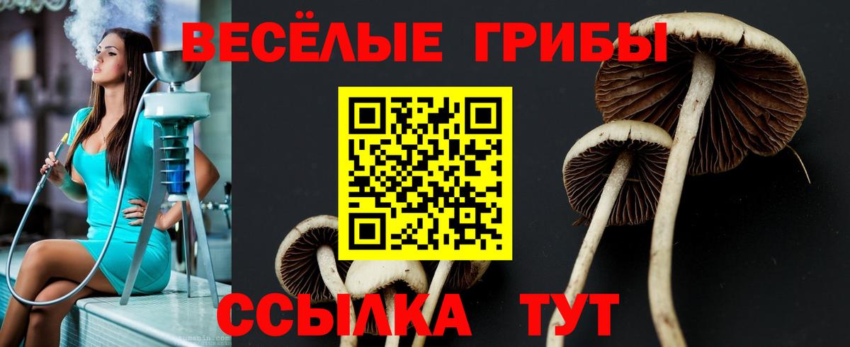 Галлюциногенные грибы GOLDEN TEACHER  Псилоцибиновые грибы ЛСД  Вход с VPN  Уссурийск 